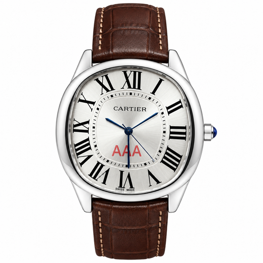 Cartier Santos Silver White Watch