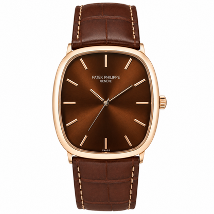 Patek AAA Full Brown Watch