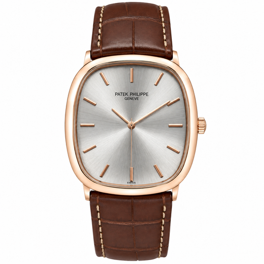 Patek AAA Brown Copper Silver Watch