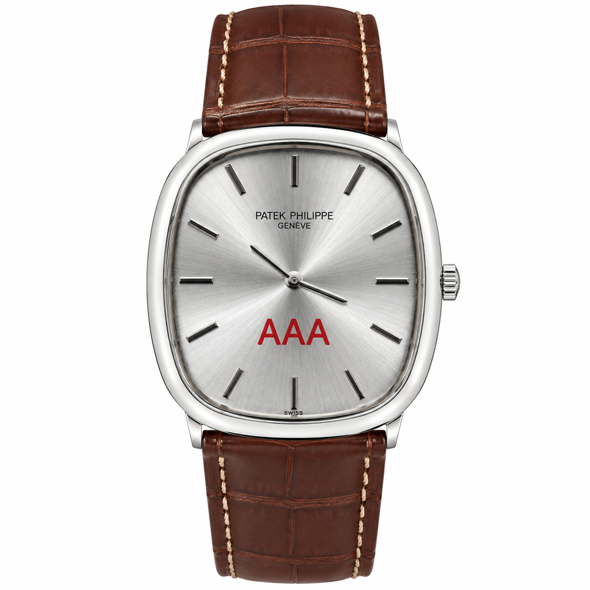 Patek AAA Brown Silver Watch