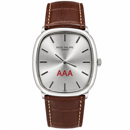 Patek AAA Brown Silver Watch