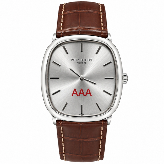 Patek AAA Brown Silver Watch