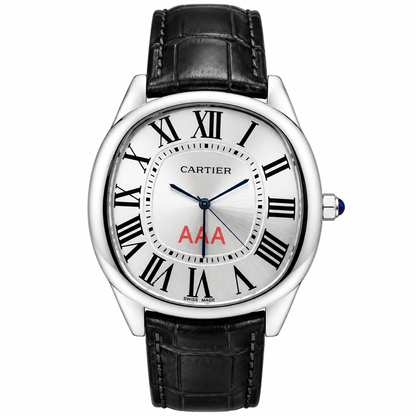 Cartier Santos Silver Black Watch