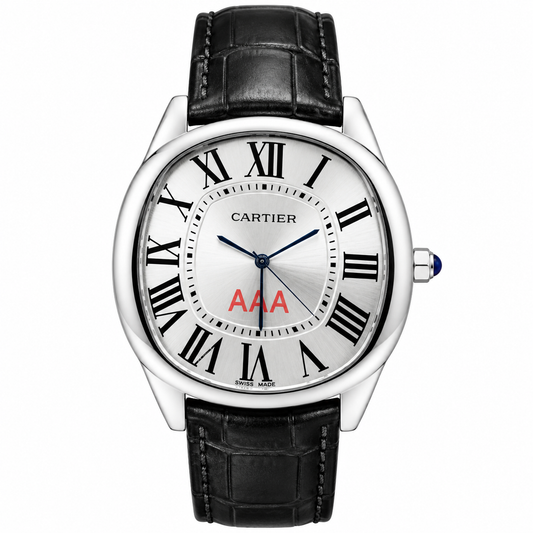 Cartier Santos Silver Black Watch