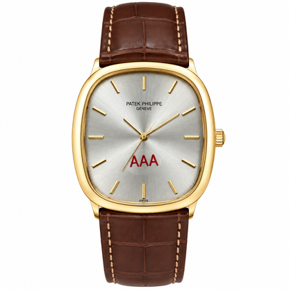 Patek AAA Brown Golden Silver Watch